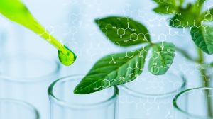 Biotecnología: Cómo la Ingeniería Genética Está Mejorando Nuestra Salud